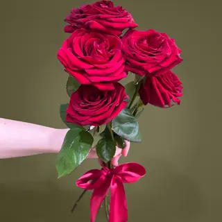 Buchet cu 5 trandafiri rosii si fundita