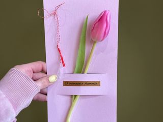 Lalea cu holder si mesaj o primavara frumoasa