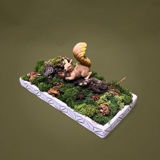 Aranjament cu licheni si veverita