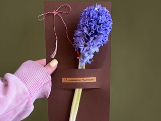 Zambila cu holder si mesaj o primavara frumoasa