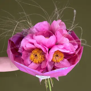 Buchet cu 7 bujori Coral