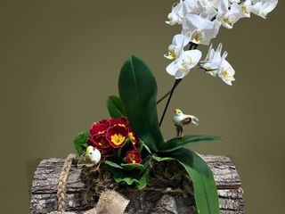 Buturuga de lemn cu Orhidee si Primula