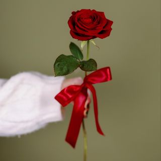 Trandafir la fir rosu