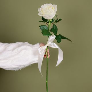 Trandafir la fir alb