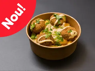 Falafel Combo