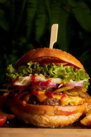 Mexican Burger