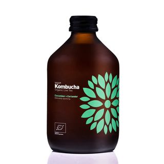 VIGO Kombucha Cucumber + Coriander BIO