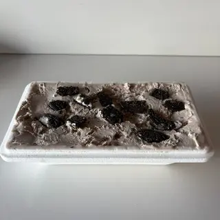 Oreo