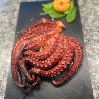 Octopus Deluxe