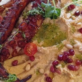 Caracatiță pe pat de humus