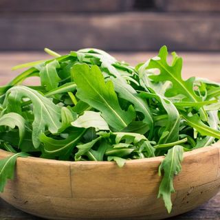 Rucola