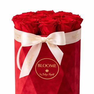 Red velvet hexagon Cutie premium cu trandafiri rosii criogenati