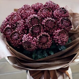 19 Crizanteme — Autumn Whisper