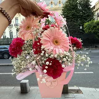Pink Delight
