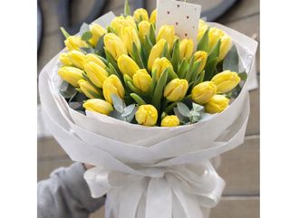 Lalele Galbene – Colecția 1-8 Martie