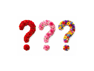 Mystery Bloome – Alegerea Floristului | Buchet Premium