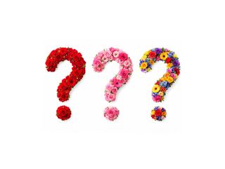 Mystery Bloome – Alegerea Floristului | Buchet Premium