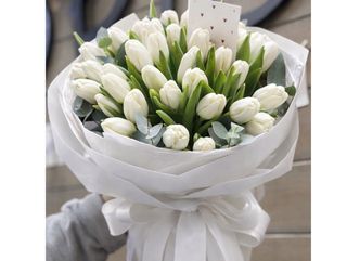 Lalele Albe – Colecția 1-8 Martie