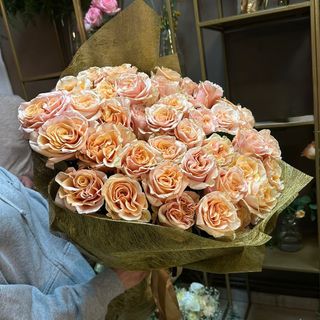 51 Peach Elegance Roses