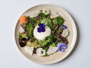 Frunze de salate de tot felul cu brânză de bivoliță