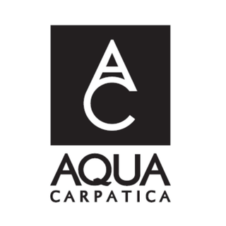 Aqua Apă Plată (330 ML)