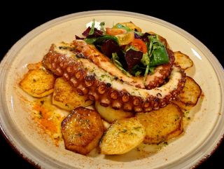 TENTACULE DE CARACATITA PE PAT DE CARTOFI RMENITI IN UNT