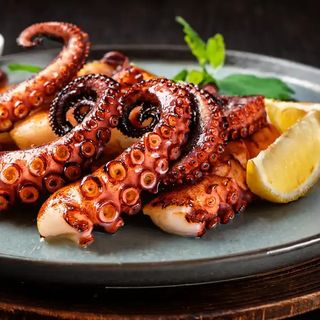 Tentacule de calamar