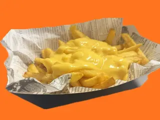 B loaded fries