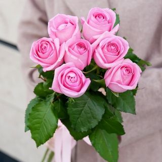 Buchet cu 7 trandafiri „Noroc în roz”