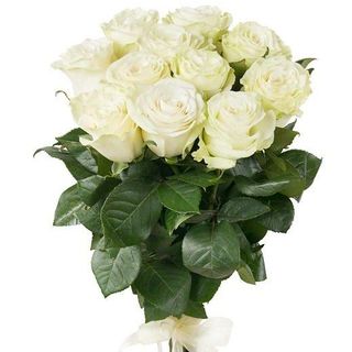 Buchet cu 11 trandafiri albi "Puritatea Iubirii"