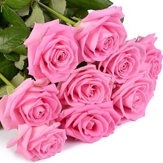 Buchet cu 9 trandafiri roz "Tandrețe în Roz"