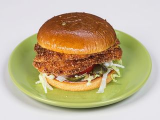 Burger Crispy(340g/150g)