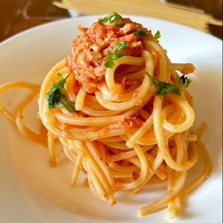 Bolognese