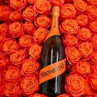 PROSECCO MIONETTI TREVISO