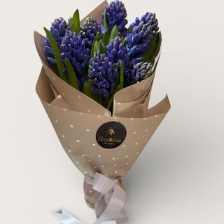 7 Zambile Olanda Blue