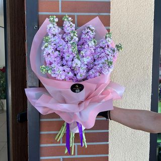 Buchet Purple Mathiola 11