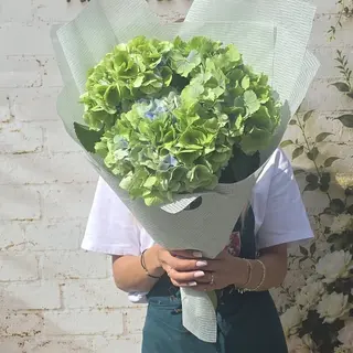 Buchet 3 hortensii verzi