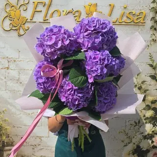 Buchet 7 hortensii mov