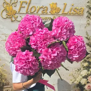 Buchet 7 Hortensii Roz