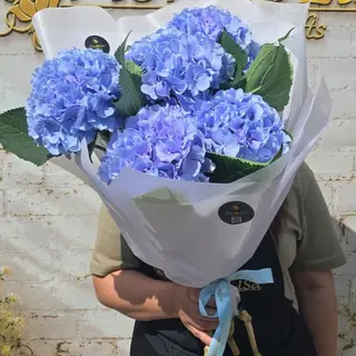 Buchet 5 Hortensii blue