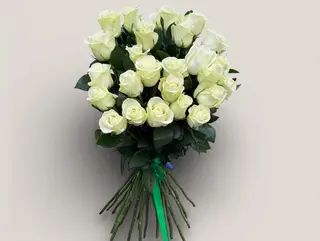 Pure White 25