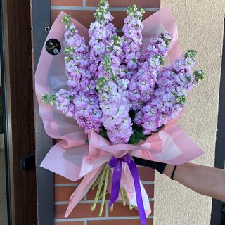 Buchet Purple Mathiola 15