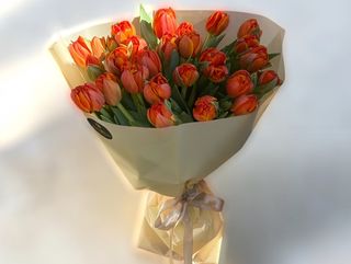 Lalele double orange 25