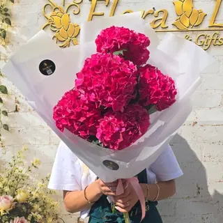 Buchet 5 hortensii fucsia