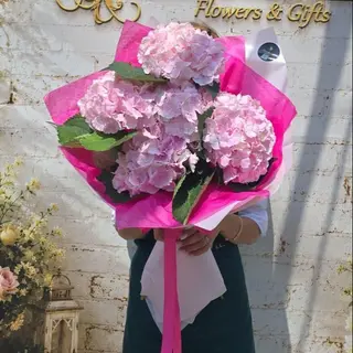 Buchet 5 hortensii roz