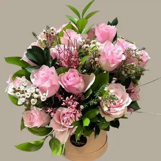 Rose Champagne