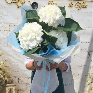 Buchet 3 hortensii albe
