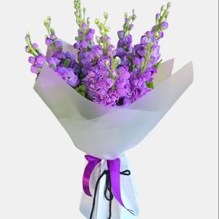 Buchet Mathiola 9