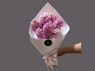 7 Zambile Olanda pink