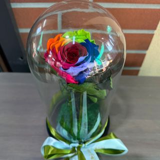 Trandafir Criogenat Colorat